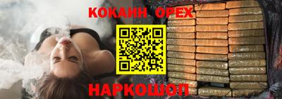 крисы Новозыбков