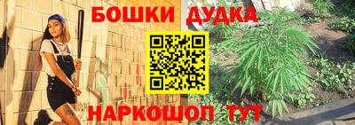 spice Новодвинск