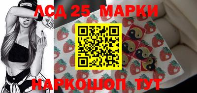 spice Новодвинск