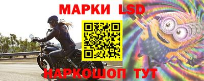 крисы Новозыбков