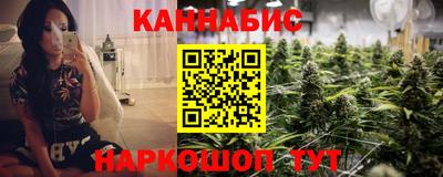 крисы Новозыбков