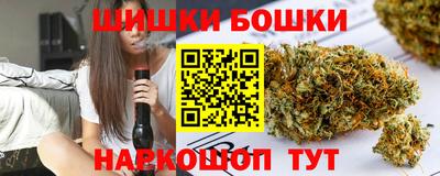 крисы Новозыбков
