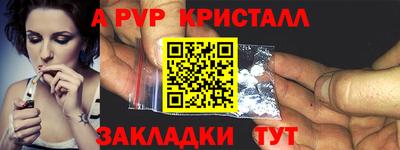 крисы Новозыбков