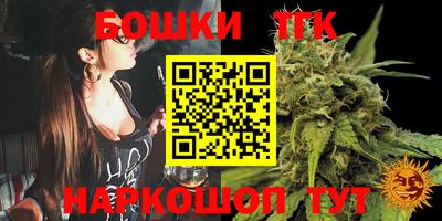 крисы Новозыбков
