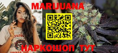 крисы Новозыбков