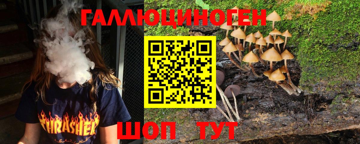 Саранск  Псилоцибиновые грибы Psilocybe  Вход с VPN  Псилоцибиновые грибы GOLDEN TEACHER 